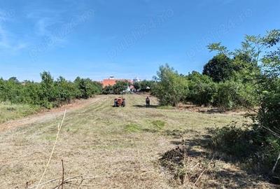 Teren de 1720 mp, în Coșteiu - 5
