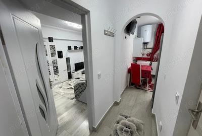 Garsonieră decomandată în Siriu - 10