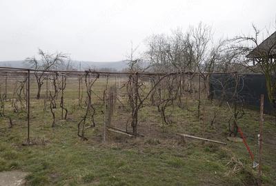 Casă cu 3 camere cu Teren 813 Mp în Grădiștea - 2