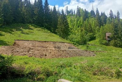 Teren de 3100 mp, în Muntele Băișorii - 2