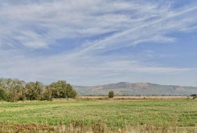 Teren de 3300 mp, în Dridif