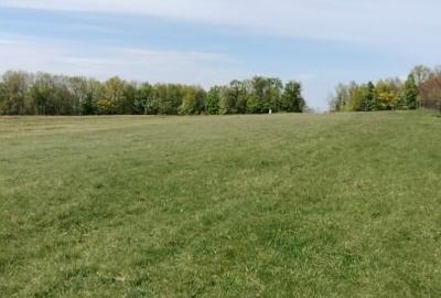 Teren Construcții extravilan de 7200 mp, în Grajduri - 5