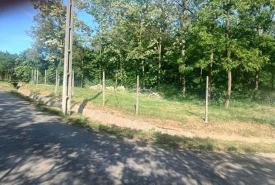 Teren de 1500 mp, în Zăuan - 5