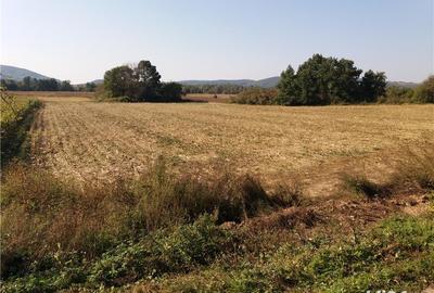 Teren de 11000 mp, în Fârdea - 3