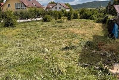 Teren de 2500 mp, în Unirea