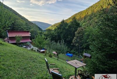Casă individuală cu 5 camere cu Teren 1078 Mp în Strungari - 8