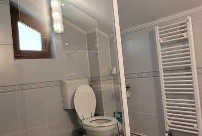Duplex cu 4 camere cu Canalizare în Râu de Mori - 11