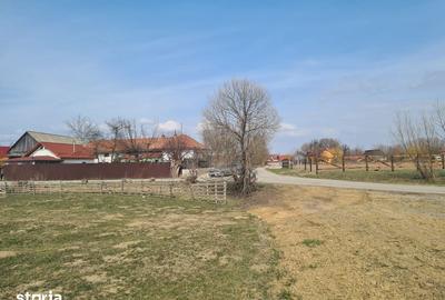Teren de 1000 mp, în Prejmer
