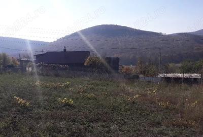 Teren de 1500 mp, în Telița - 4