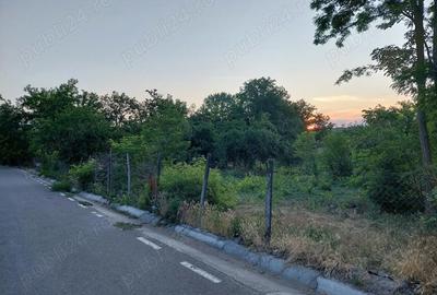 Casă cu 4 camere cu Teren 80 Mp în Blânzi - 4