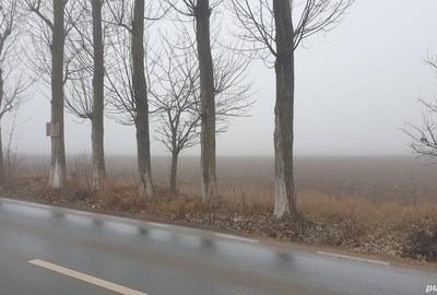 Teren de 600 mp, în Ciolpani - 1