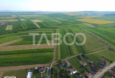 Teren de 10055 mp, în Șura Mică