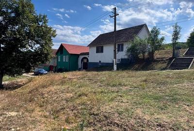 Casă cu 2 camere cu Teren 2380 Mp în Iacobeni