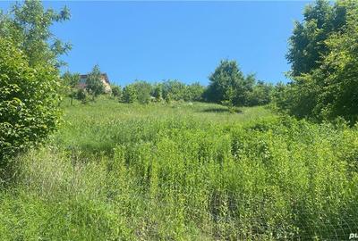 Teren de 5531 mp, în Drajna - 3