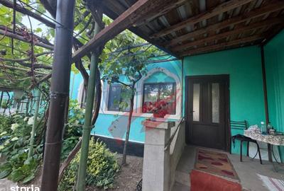 Casă cu 7 camere cu Teren 3300 Mp în Orodel - 1