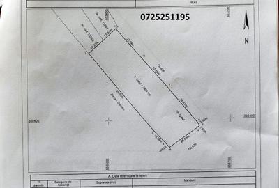 Teren agricol intravilan de 3300 mp, în Merii Petchii - 10