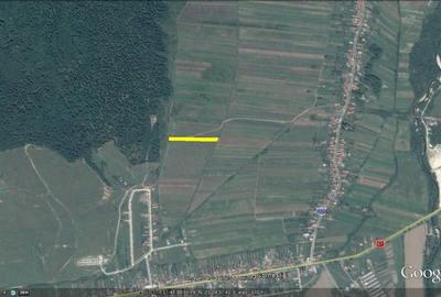 Teren Construcții extravilan de 3500 mp, în Bălești - 2