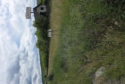 Teren de 1300 mp, în Luna - 3