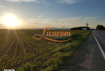 Teren de 11800 mp, în Stupini - 5