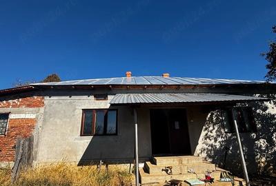 Casă cu 3 camere cu Teren 12527 Mp în Vitomirești