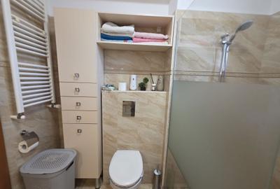 Apartament cu 2 camere decomandat în Găvana