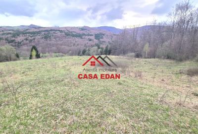 Teren extravilan de 20500 mp, în Valea Doftanei - 6
