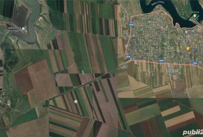 Teren de 90000 mp, în Limanu - 2