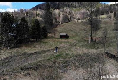 Teren de 10000 mp, în Izvoru - 5