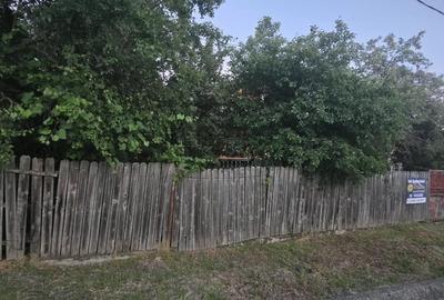 Casă individuală cu 2 camere cu Teren 7769 Mp în Budieni - 2