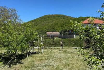 Teren de 600 mp, în Tinca - 3