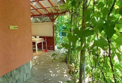 Casă cu 3 camere cu Teren 335 Mp în Central