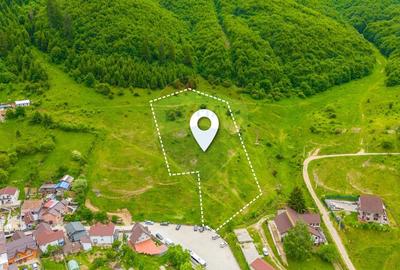 Teren Construcții intravilan de 8529 mp, în Bunloc - 1