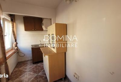 Garsonieră în Lotrului
