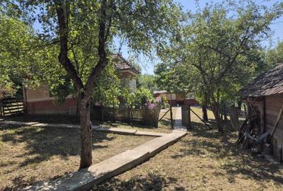 Casă cu 3 camere în Răzoare - 6