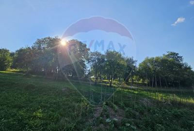 Teren Construcții intravilan de 1247 mp, în Breb - 3