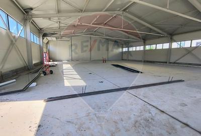 Spațiu industrial, de 200 mp, în Cernica - 15