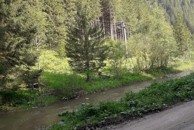 Teren de 2 mp, în Iedu - 7