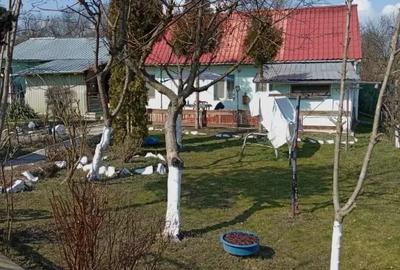 Casă cu 2 camere în Țichindeal - 11