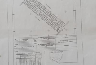 Teren de 1200 mp, în Domnești