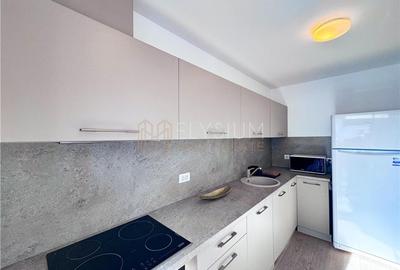 Apartament cu 2 camere semidecomandat, mobilat în Herăstrău - 7