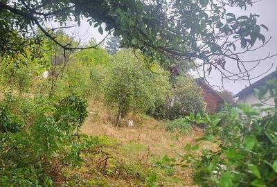 Teren Construcții intravilan de 1055 mp, în Comana - 9