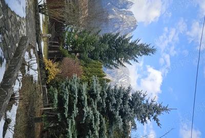 Casă cu Teren 675 Mp în Poiana - 2