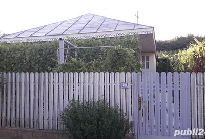 Casă cu 4 camere cu Teren 5000 Mp în Valea Mărului - 7