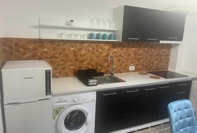 Garsonieră decomandată în Gura Văii - 6