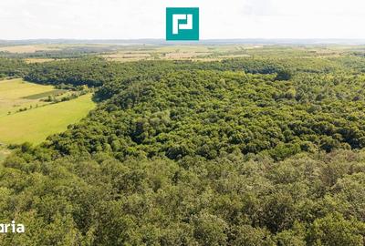 Teren de 22900 mp, în Central - 6