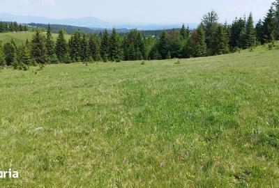 Teren de 700 mp, în Tiha Bârgăului - 1