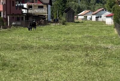 Teren de 2463 mp, în Băile Borșa - 15