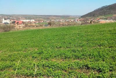 Teren de 3300 mp, în Râciu - 10