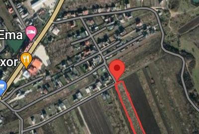 Teren de 5000 mp, în Albota