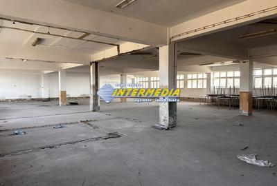 Spațiu comercial, de 1,270 mp, în Bărăbanț - 11